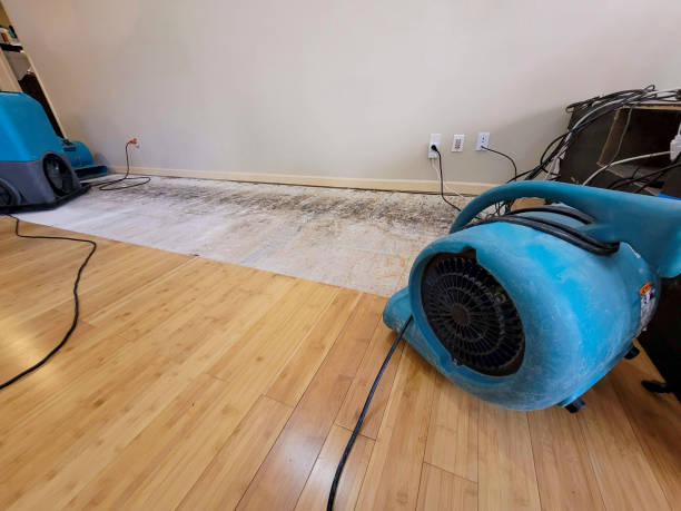 Professional Basement Flood Cleanup technician working in Hanover, MN